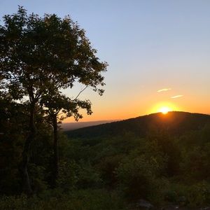 Meet your Posher, Liam